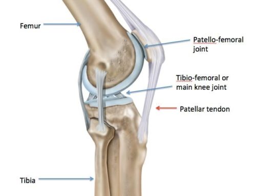 Physiotherapy for Knee Pain